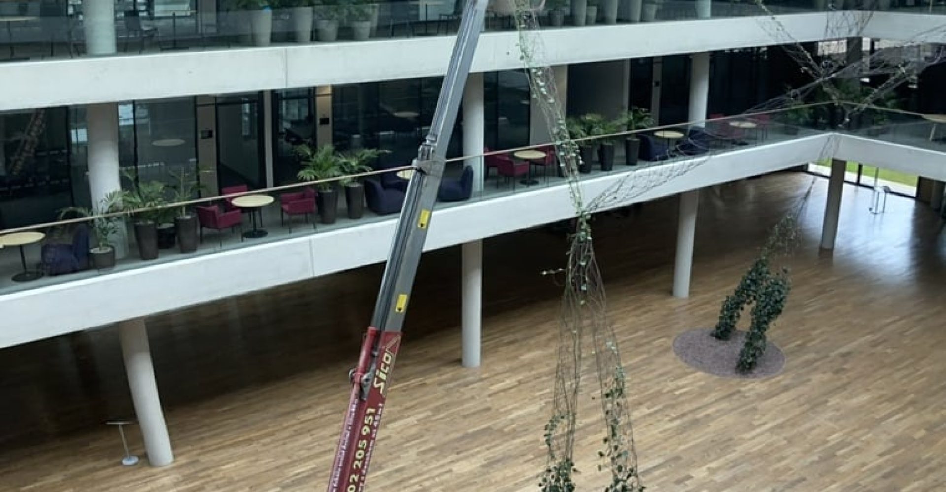 vertical-foto12