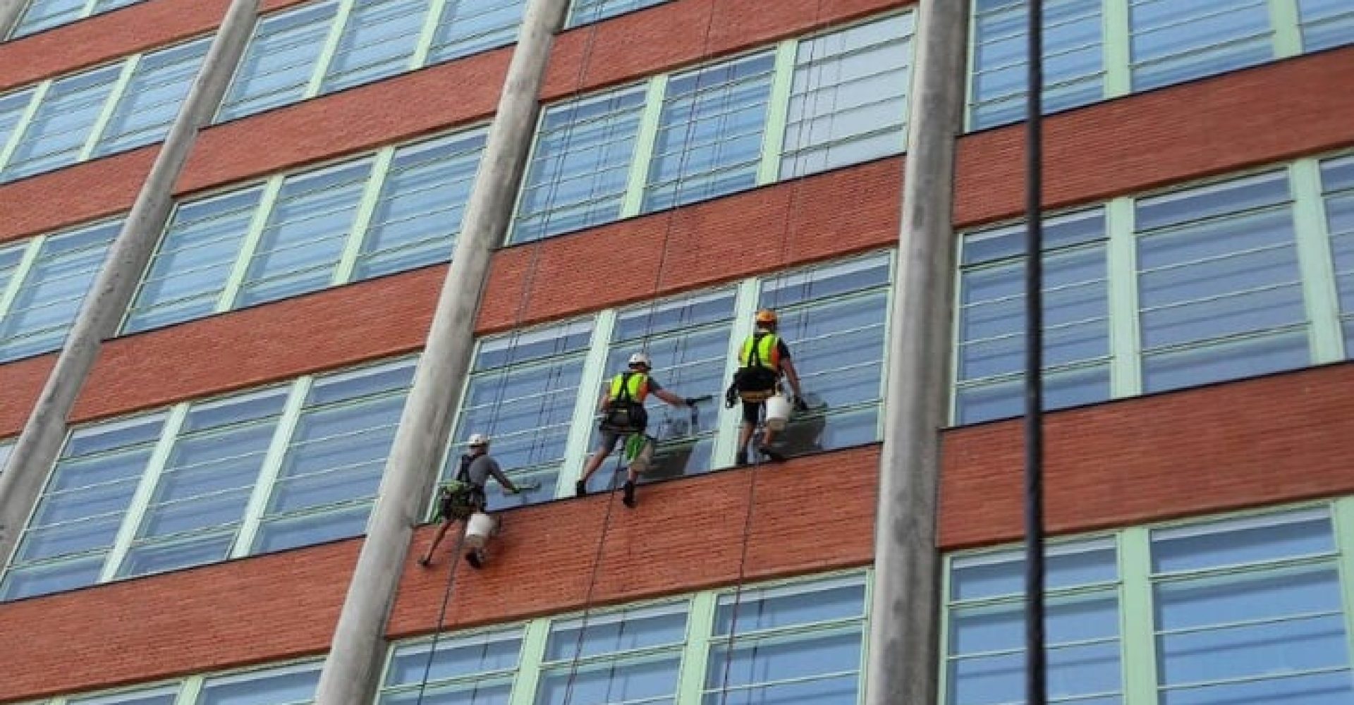 vertical-foto4